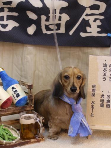 20240613ラテくん